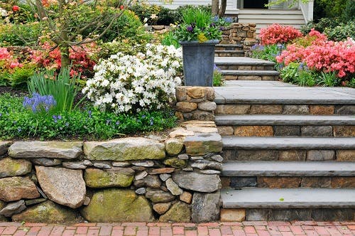 Proline Landscaping & Pavers LLC