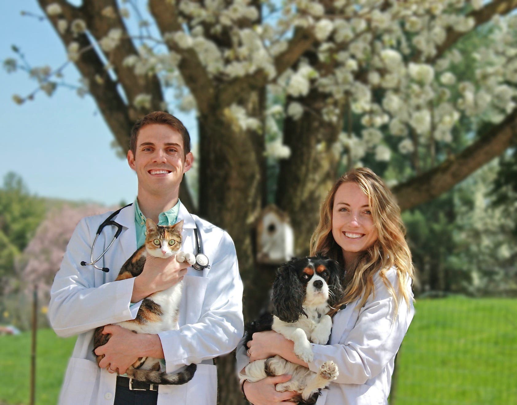 Veterinary Technician Full or Part Time Position - Doylestown, PA Patch