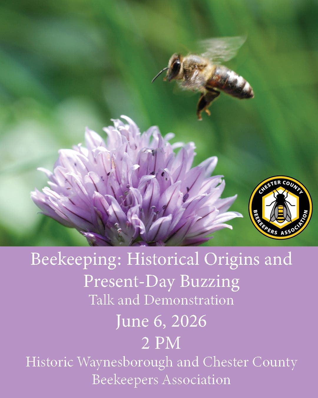 Beekeeping: Historical Origins and Present-Day Buzzing Talk and Demonstration 