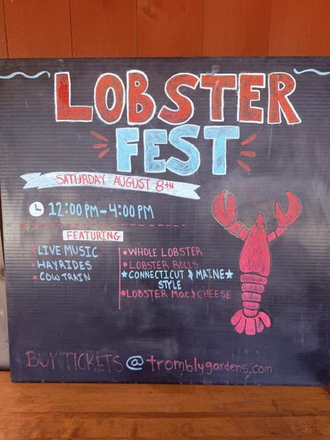 Lobster Festival