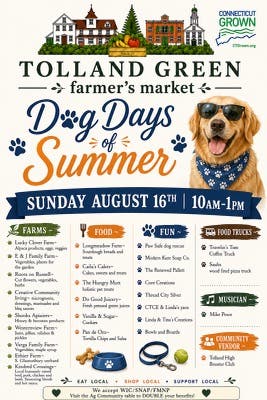Dog Days of August