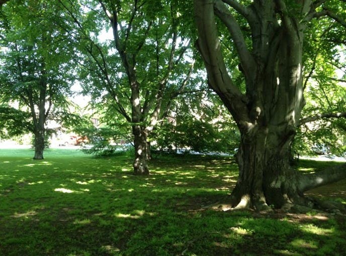 Longwood Mall Guided Walk