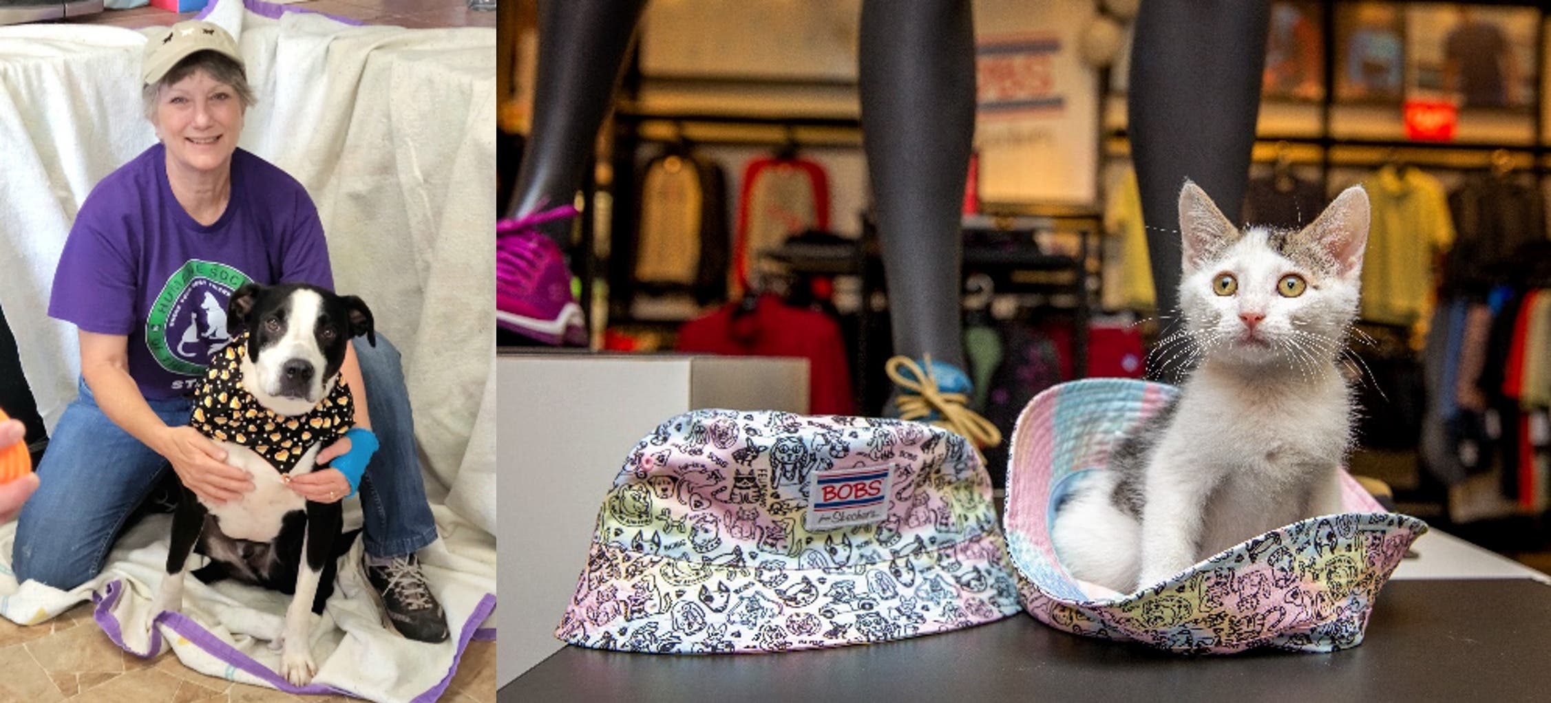Sep 30 BOBS from Skechers + Petco Love Honor Humane Society of the