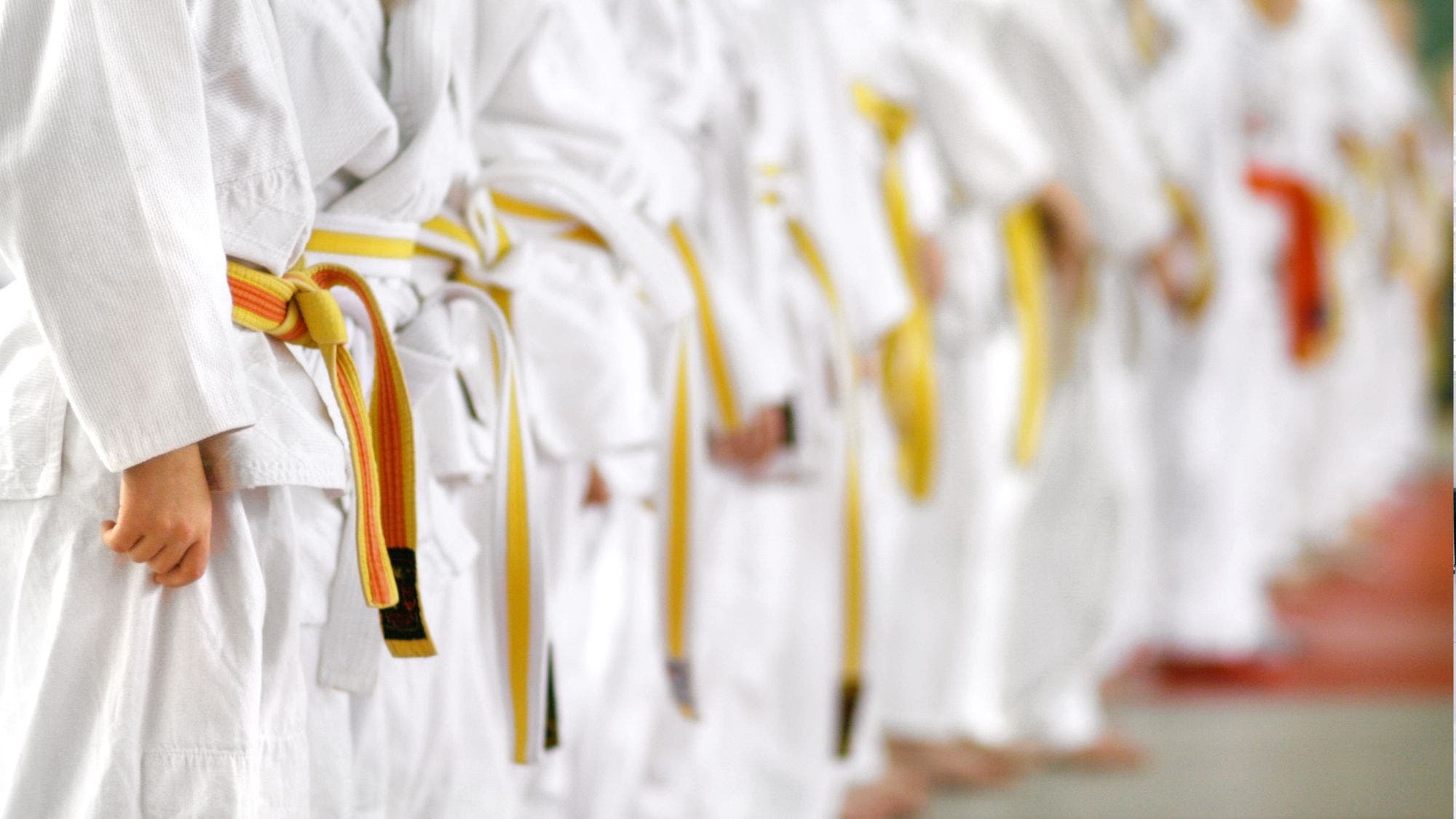 Karate: Free Trial Class