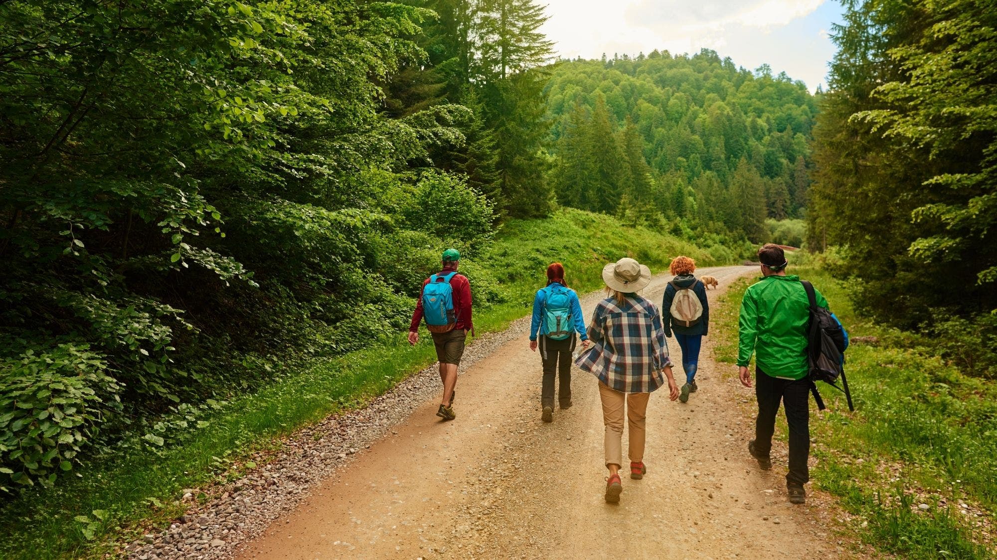 Nature Walks: A Path to Scientific Discovery