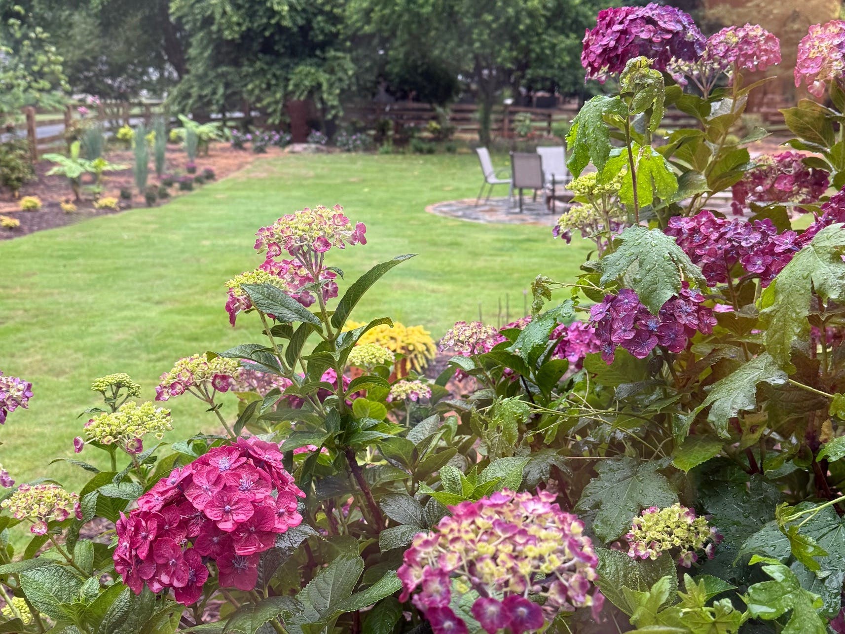 Garden Walk 2026 "In Our Own Back Yards"