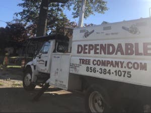 Dependable Land Maintenance & Tree Company LLC