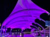 Tampa Landmarks illuminated in purple for migraine awareness