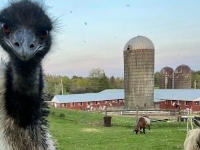 News small post card thumbnail