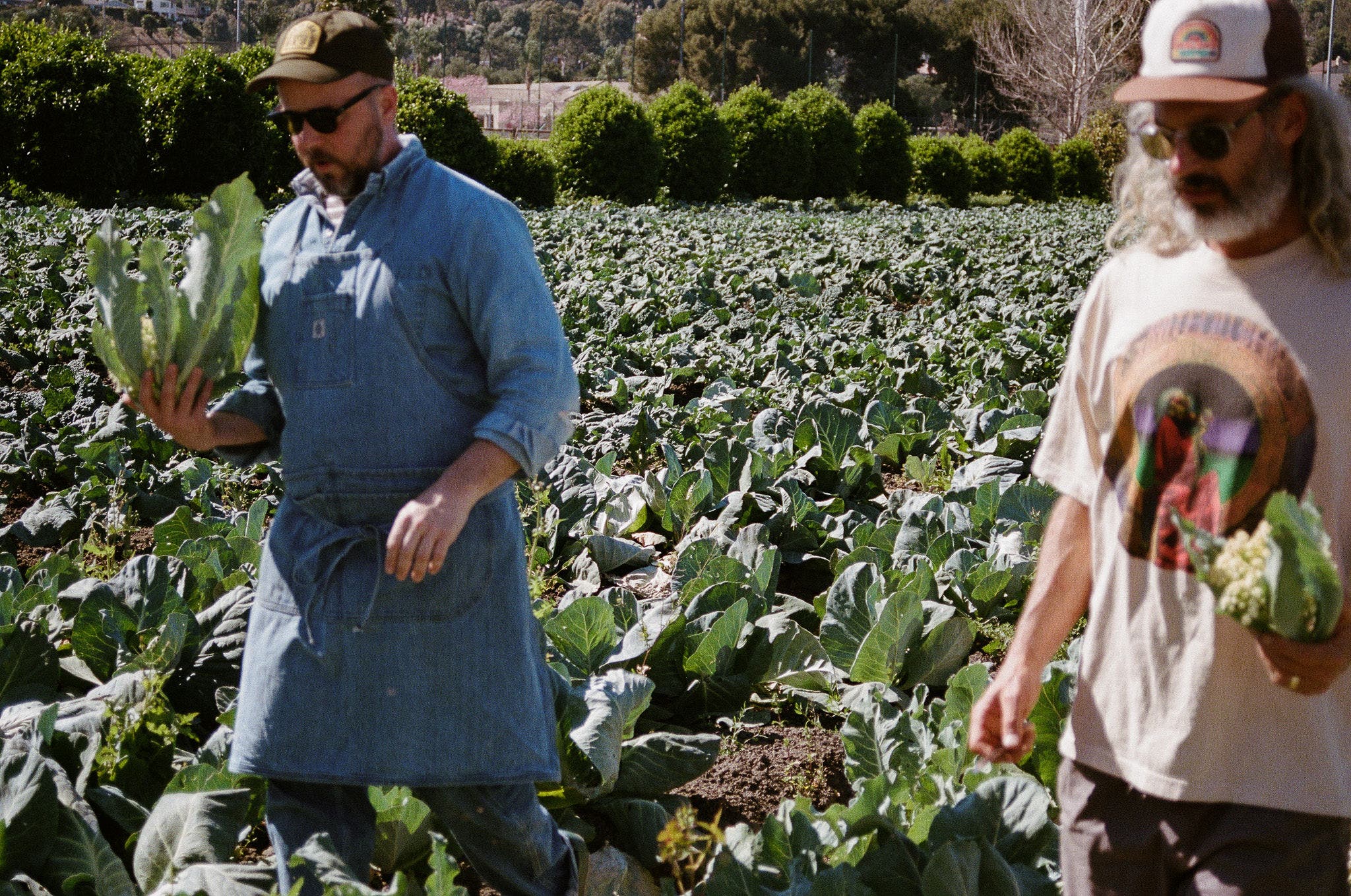 Community Table Dinner Series – Joshua McFadden