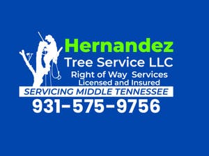 Hernandez Tree Service LLC