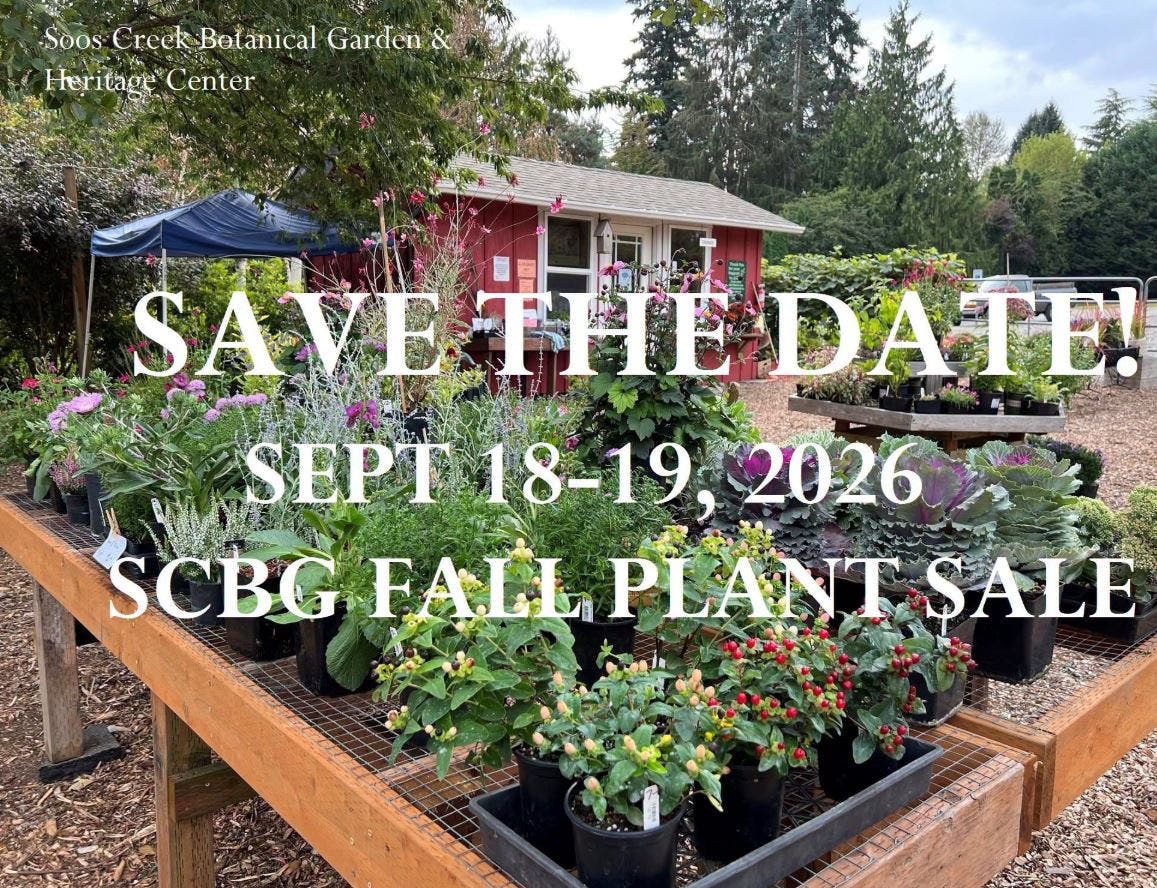 Fall Plant Sale