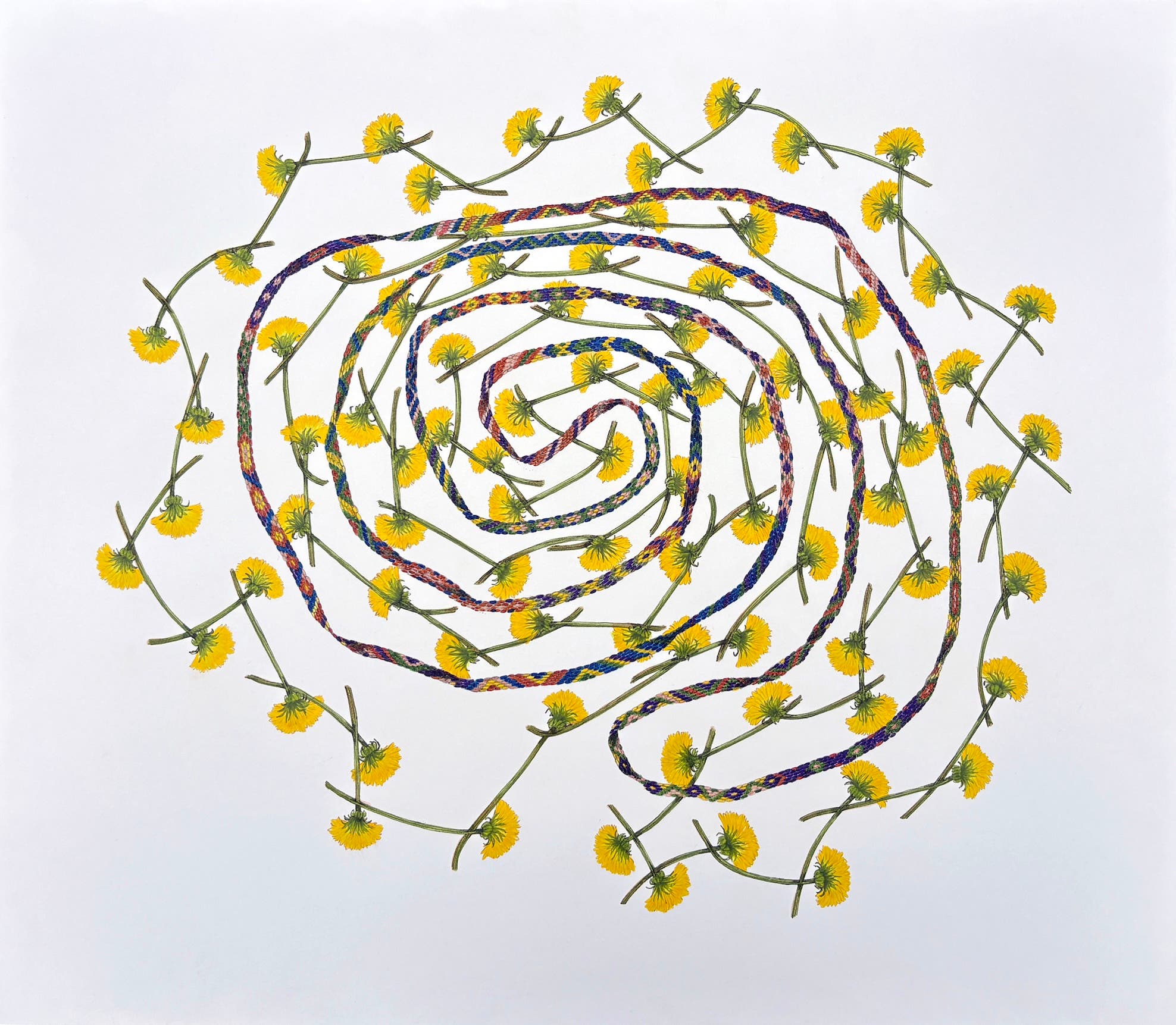 Garrison Art Center Presents 'Rover' by Artist Mara Baldwin
