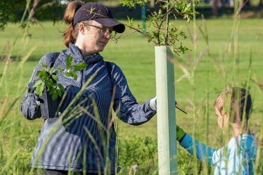 Stream Team 2026: Whitehall Township Jordan Greenway