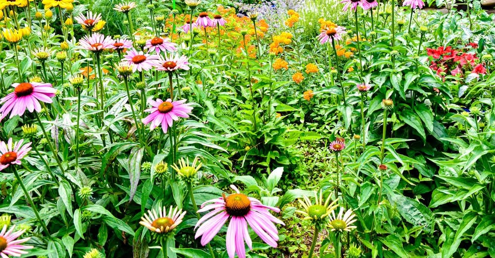 Wildlands Conservancy – Poetry in the Park