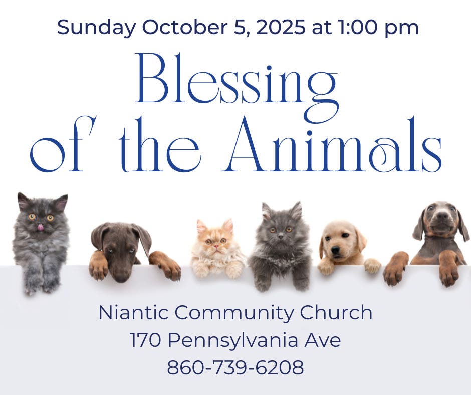 Blessing of the Animals