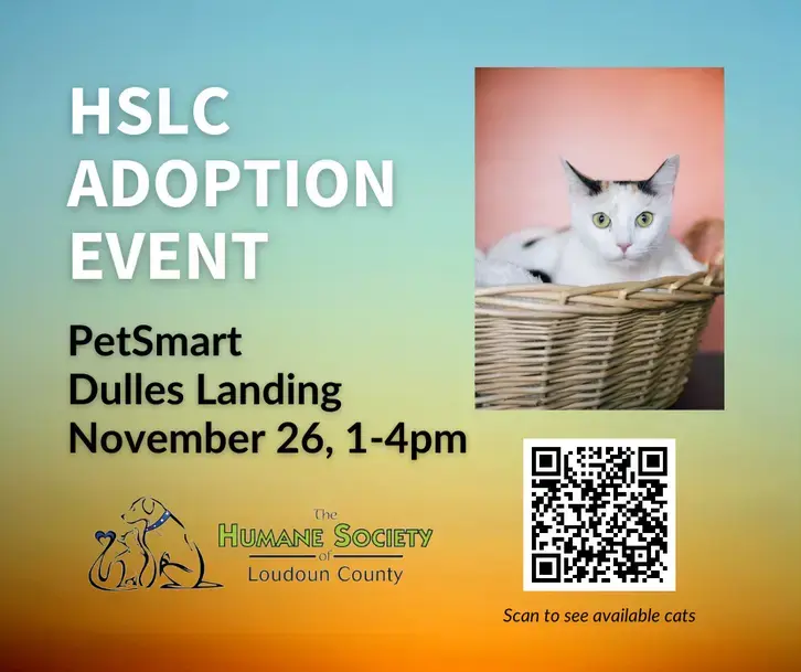 Nov 26 | Humane Society of Loudoun County Adoption Event | Ashburn, VA Patch