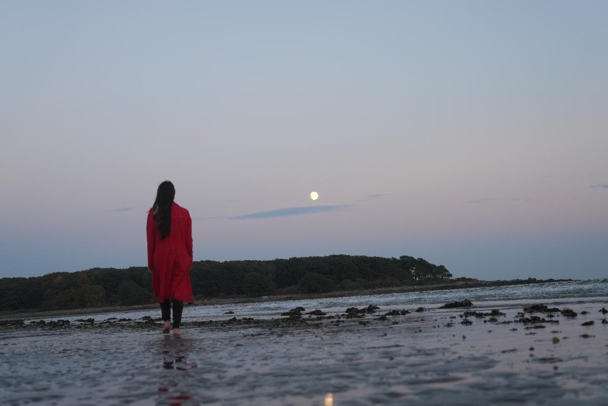 Kaatsbaan Cultural Park Presents Nichole Canuso’s Branching Paths: Lunar Retreat