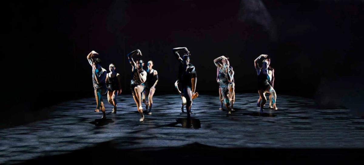 Amanda Selwyn Dance Theatre Announces Rooted & Rising 26th Season Gala
