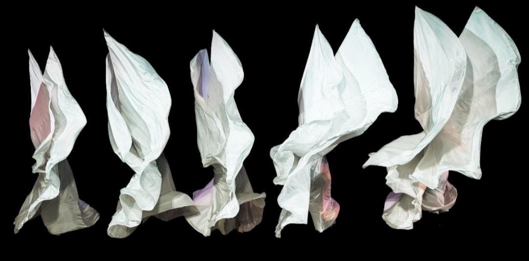 Jody Sperling/Time Lapse Dance To Honor Gail Merrifield Papp at Shapes of Change