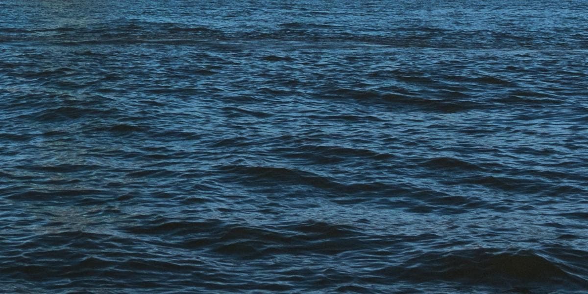 South Street Seaport Museum Announces City of Water Day
