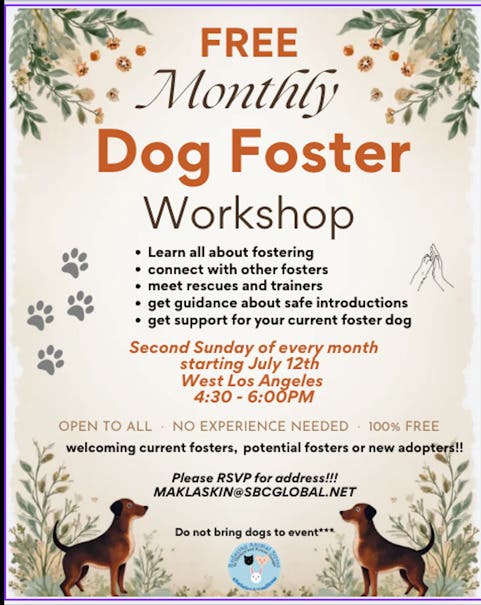 FREE Dog Foster Workshop