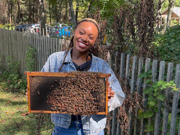 Honey Harvesting with Master Beekeeper