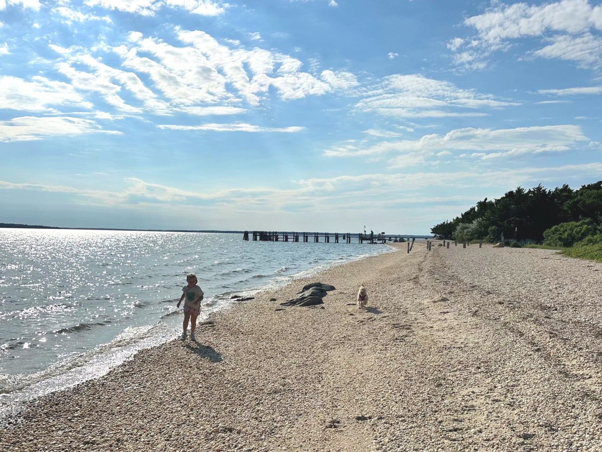 East End Explorers Group: Towd Point