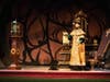 Opera In Focus (3000 Central Rd in Rolling Meadows)