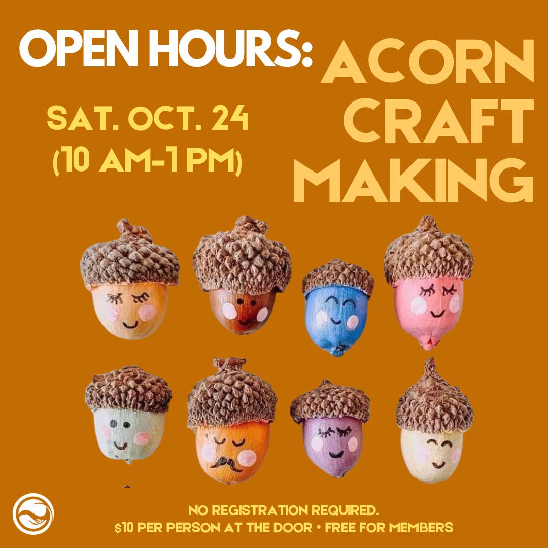 CEED's Saturday Open Hours: Acorn and Leaves