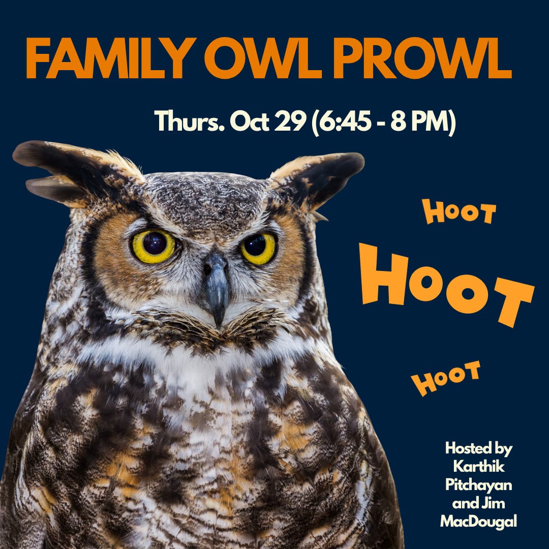 CEED's Family Owl Prowl