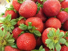 Splendid Strawberries – Adult Cooking Class