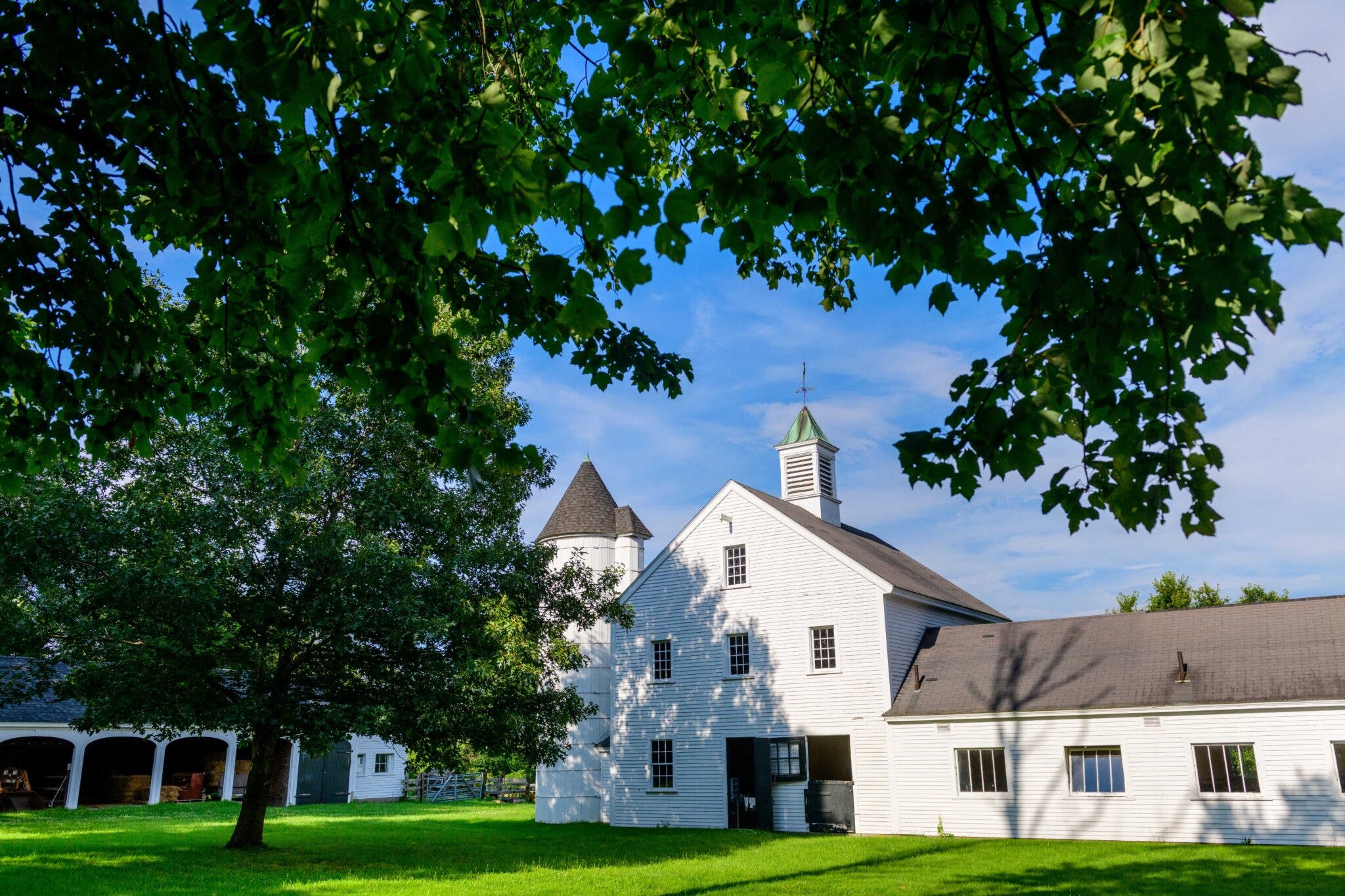  Discover Millborn Farm: A Community Celebration