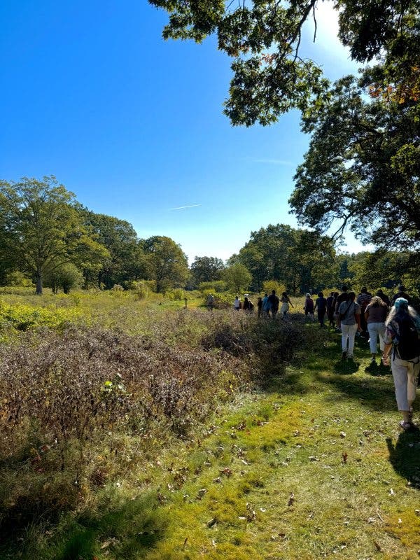 Autumn Heritage Stroll and Farm-to-Table Lunch