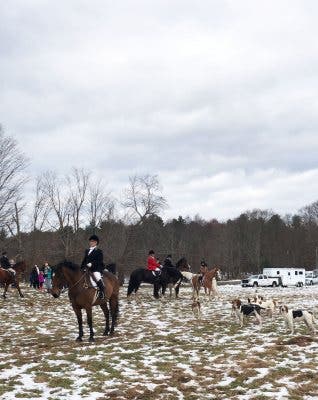 Tally Ho! Amelia Peabody Memorial Hunt