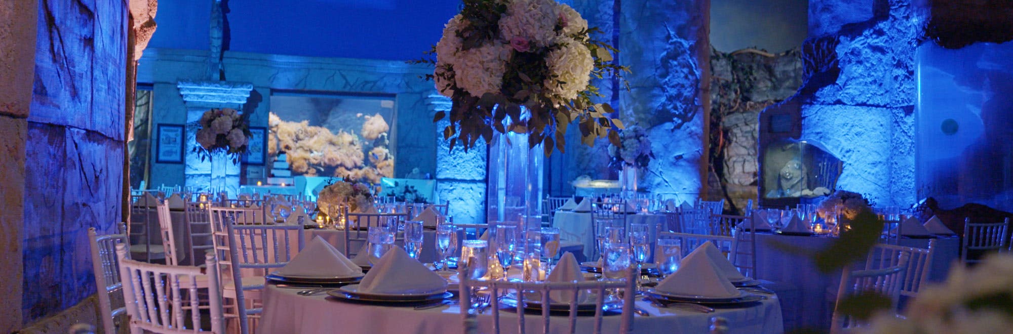 Wedding & Event Showcase