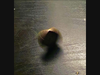 "Spinning Coin"