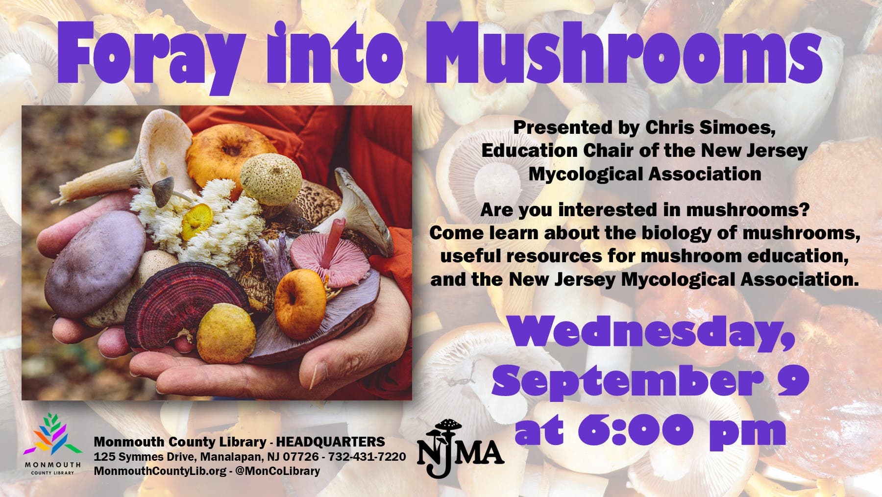 Foray into Mushrooms