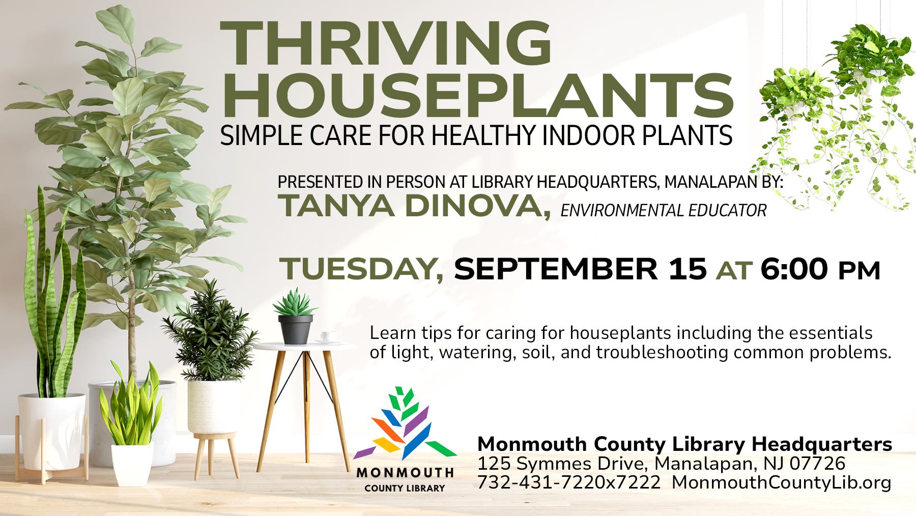 Thriving Houseplants: Simple Care for Healthy Indoor Plants