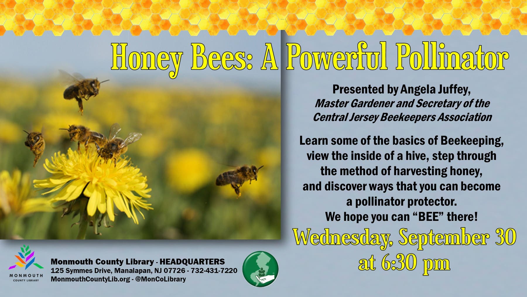 Honey Bees: A Powerful Pollinator