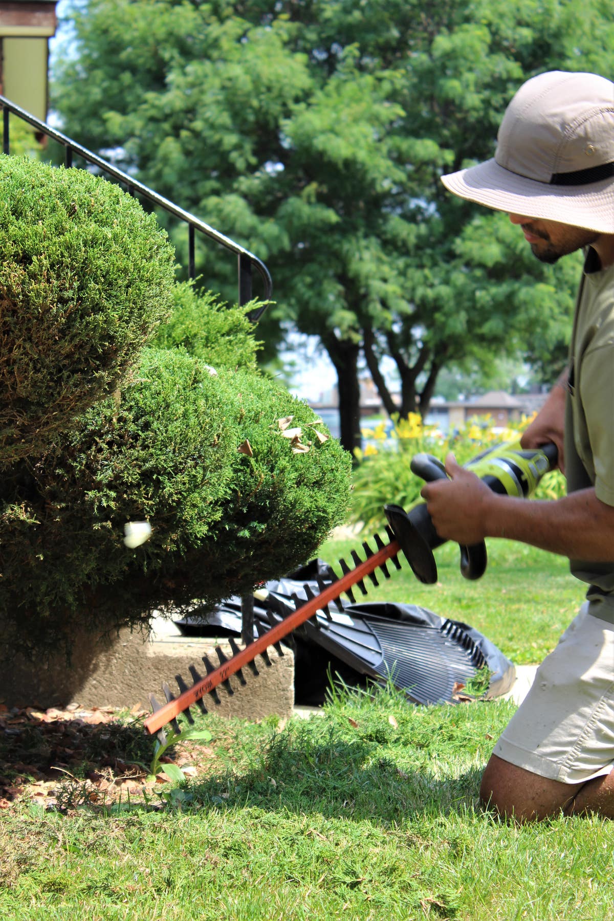 All In One Handyman and Yardwork LLC