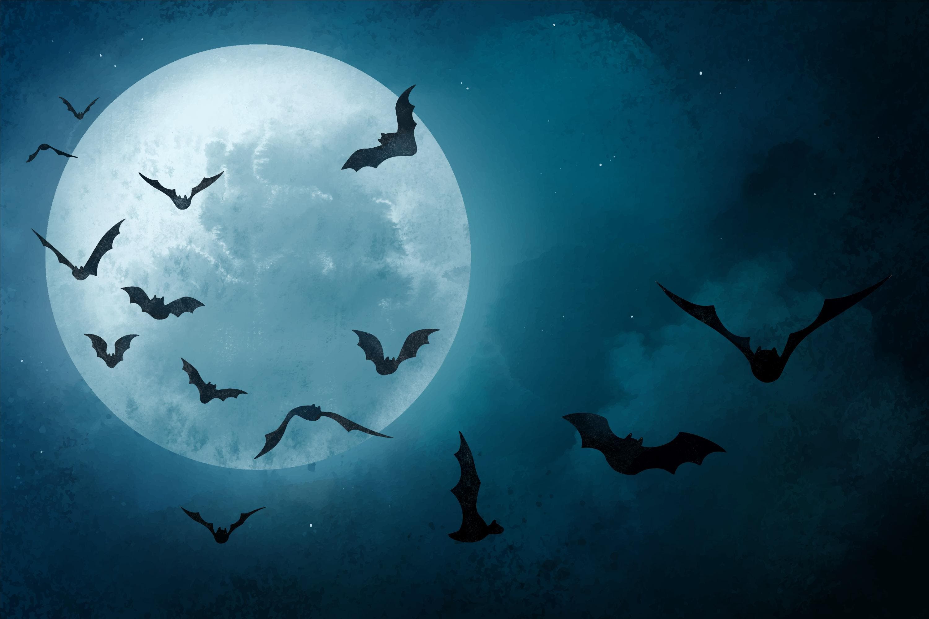 Wings in the Moonlight: The Story of Bats (FREE EVENT)