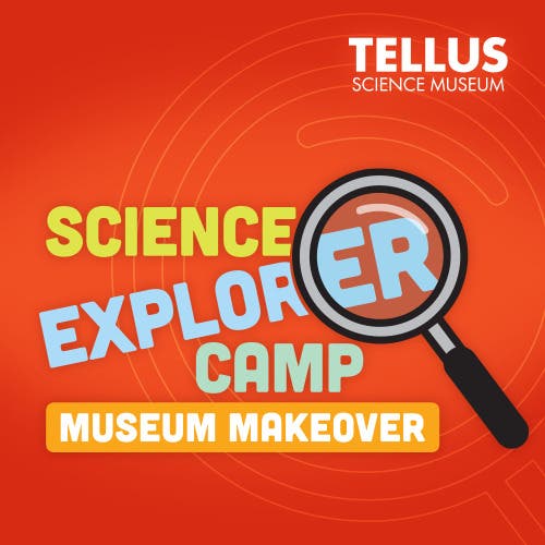 Science Explorer Camp: Museum Makeover 