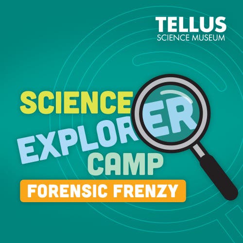 Science Explorer Camp: Forensic Frenzy