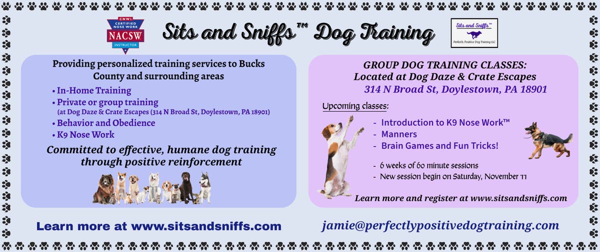 Sits and Sniffs Dog Training