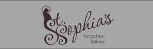 St. Sophia's Forgotten Felines