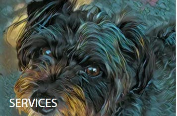 Laura Garren Dog Training LLC