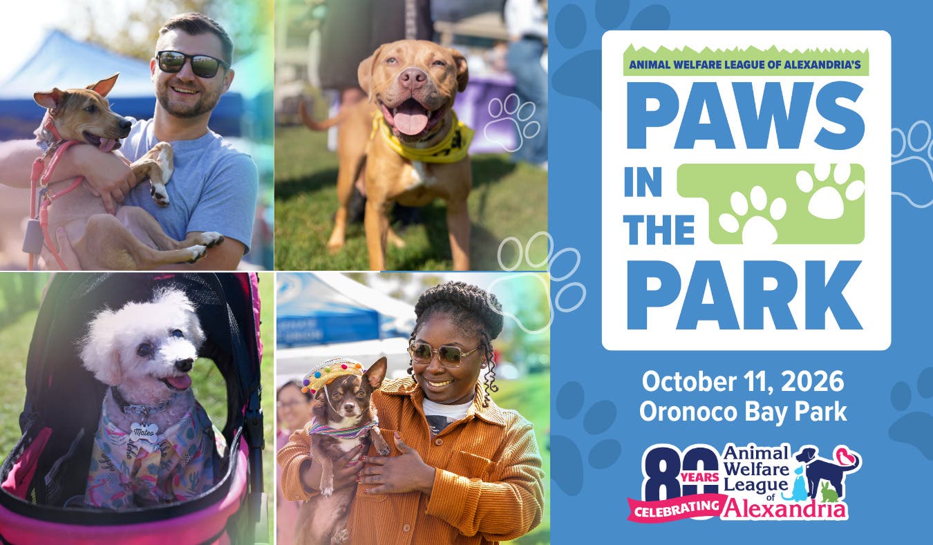 Paws in the Park 2026