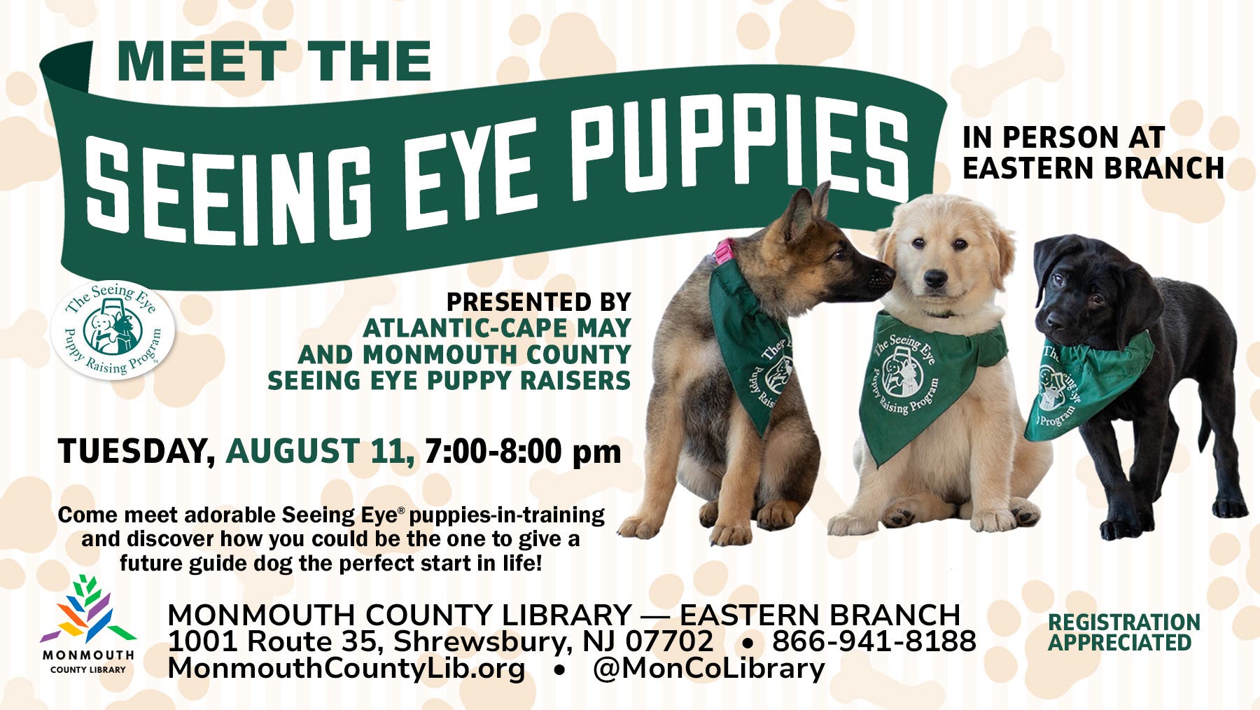 Meet the Seeing Eye Puppies