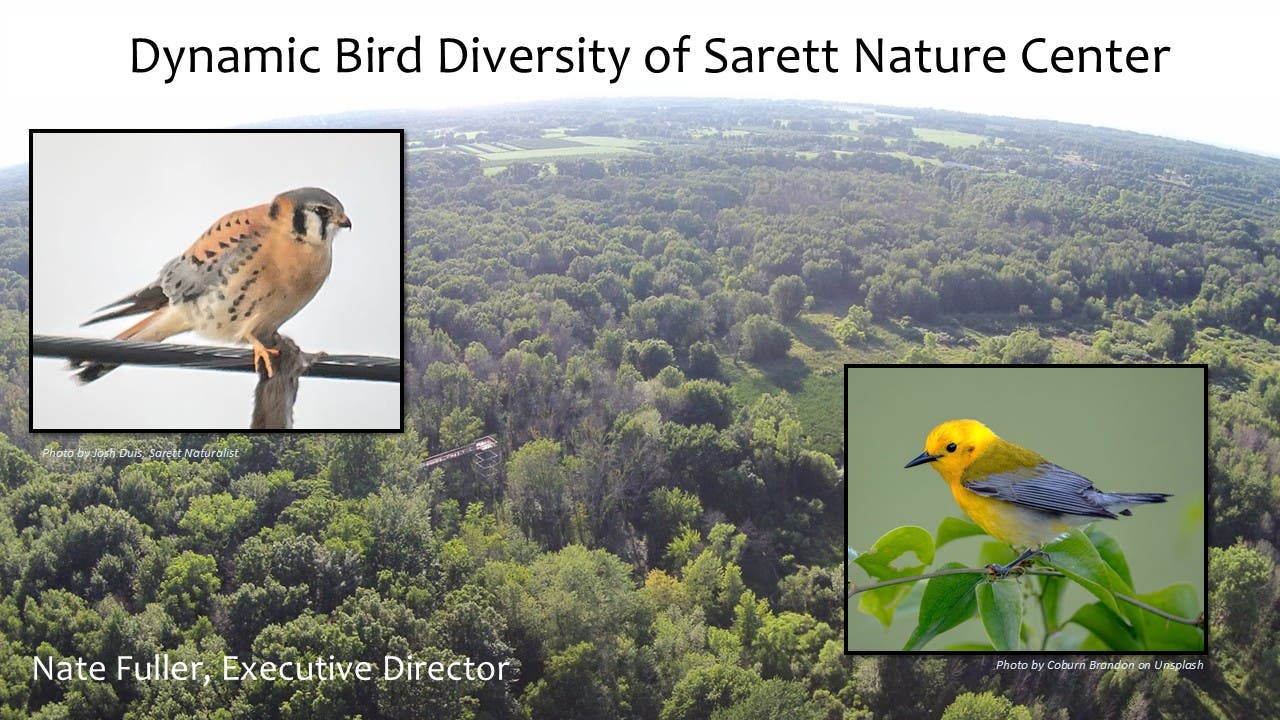 Dynamic Bird Diversity of Sarett Nature Center
